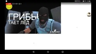 стрим по блок страйку  ответ
на вопросы