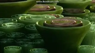 Closing to Avatar UK DVD (2010)