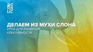 Урок Фотошоп: делаем из мухи слона. Урок для развития креативности