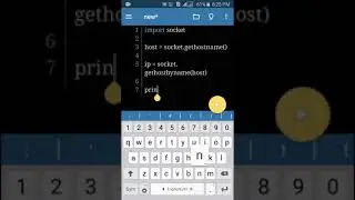 Python programming vid - 6 | check host and ip with 