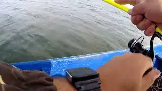 Рыбалка 🎣 на бортовые удочки!!! Озеро Плещеево!!!