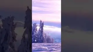 Це все було до війни