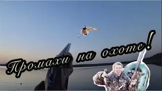 Лучшие моменты с охоты 2020. Промахи на охоте. Досадные промахи с охоты на пернатых..
