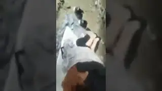 مسكهم متلبسين || ماعاد قدروا حتى يقوموا || فيديو نار |