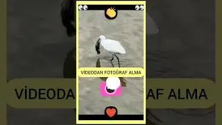 Taking Photos from Video