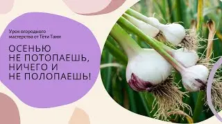 Осенью НЕ потопаешь, ничего и НЕ полопаешь...😁
