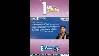 Our New Strategic Plan......E-Learning HUB.....Zodiac Academy.... #zodiacacademy #education #shorts