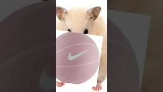 💗