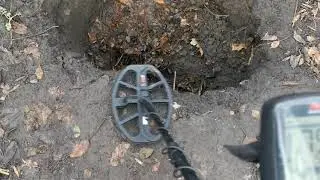 Minelab X-Terra Pro - Тест на 5 копійок 1834. #металлоискатель #металошукач #minelab #xterrapro