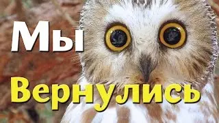 А мы тут вернулись :3