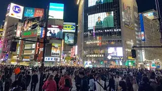 Live | Shibuya | Tokyo Afternoon Walk