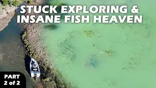 FINDING A FISHING JACKPOT | Getting Stuck High & Dry | 5 Day Shoalwater Bay Central QLD Adventure