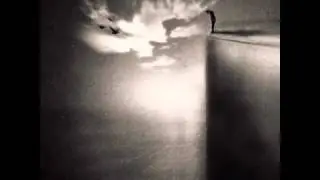 Micro One - Ant bedugnes krasto
