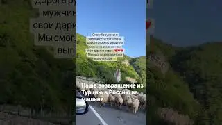 #втурциюнамашине