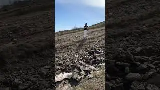 #дети