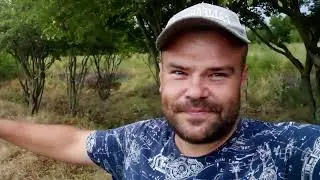Что со мной и где я сейчас? Сгоревший ягодный питомник и новая мирная  жизнь