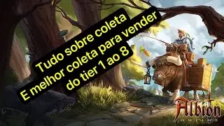 Qual melhor coleta atual e dicas de coleta.