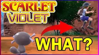 Pokémon Scarlet & Violet Bugs/ Glitches Compilation (FLASHING LIGHTS)