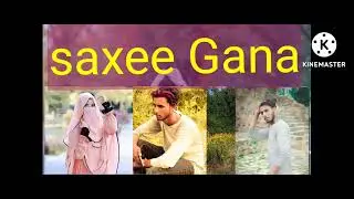 saxse Gana