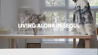 sub) vlog. 밀린 집안일 몰아서 하는 프리랜서의 쉬는 날 일상 브이로그, 거실 가구 배치 바꾸기, 카푸치노 만들기, 감자짜글이, 뒤늦게 보내주는 여름 / 수린 suzlnne