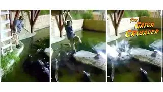 What Happened After Man Fell on Gators