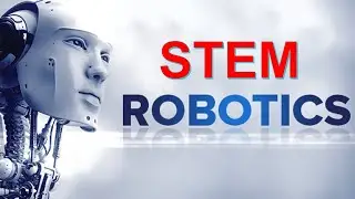 What is STEM?