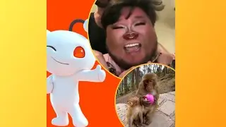 Reddit Shorts Best Videos June 2025 /Reddit current Video Compilation