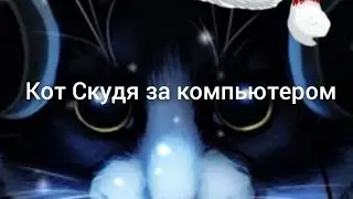 Кот Скудя за компьютером