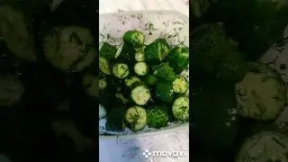 Малосольные огурчики быстрые🔥 #простаяеда #едавдеревне #рецепт #малосольныеогурцы
