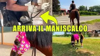 ARRIVA IL MANISCALCO PER LA FRITZI E ALBYPHOTO MI RUBA LA CAVALLA! 😂 VLOG IN MANEGGIO!