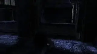 Dark sector