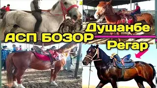 АСП БОЗОР ДУШАНБЕ ЛЕНИНСКИЙ РАЙОН _ АСП БОЗОР Ш. ТУРСУНЗОДА _ АСПХО _ АСПХОИ ФУРӮШИ ДАР ТОЧИКИСТОН