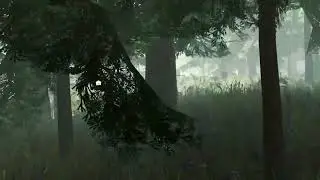 Kevogames in The Forest VR