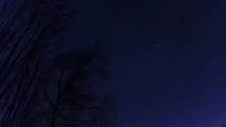 Stars