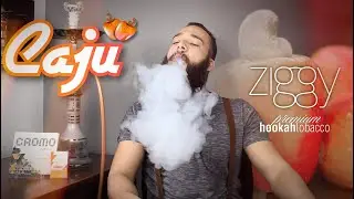 ZIGGY CAJU TROPICAL | REVIEW