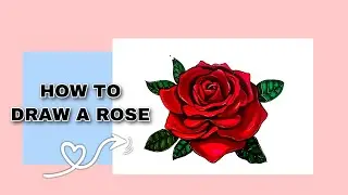 How to color a rose | Alcohol Markers