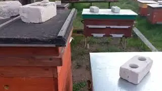 Вечер на пасеки