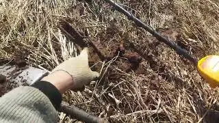 Металлокоп 2024. Опять по старым местам