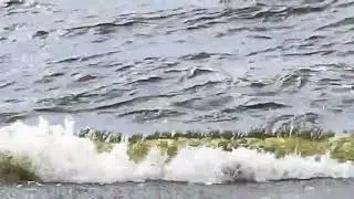 Неспокійне море.