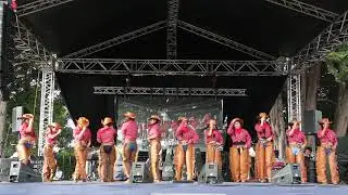 DANZAS BAILE COUNTRY