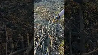 Сучкоріз FISKARS® L109