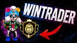 PRESTIGE 6 ROSA WINTRADER 