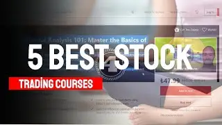 5 Best Stock Trading Courses Udemy (98.1% Success!)