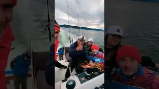 Морские прогулки на Камчатке #Камчатка @кузнецбо
