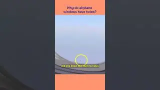 Why do airplane windows have hole? 🤯 #fact #facts #short #shorts #flight #plane
