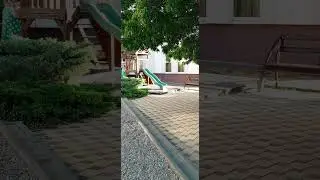 отель Фандорин .кабардинка