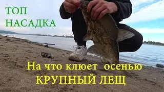 Рыбалка на КРУПНОГО леща в СЕНТЯБРЕ. Крупный лещ на макароны 