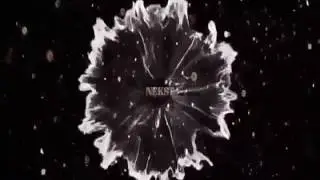 Интро для NEKST