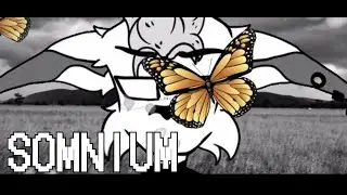 SOMNIUM _meme_