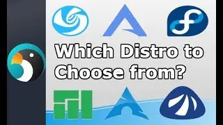 Which Deepin Distro is Best?